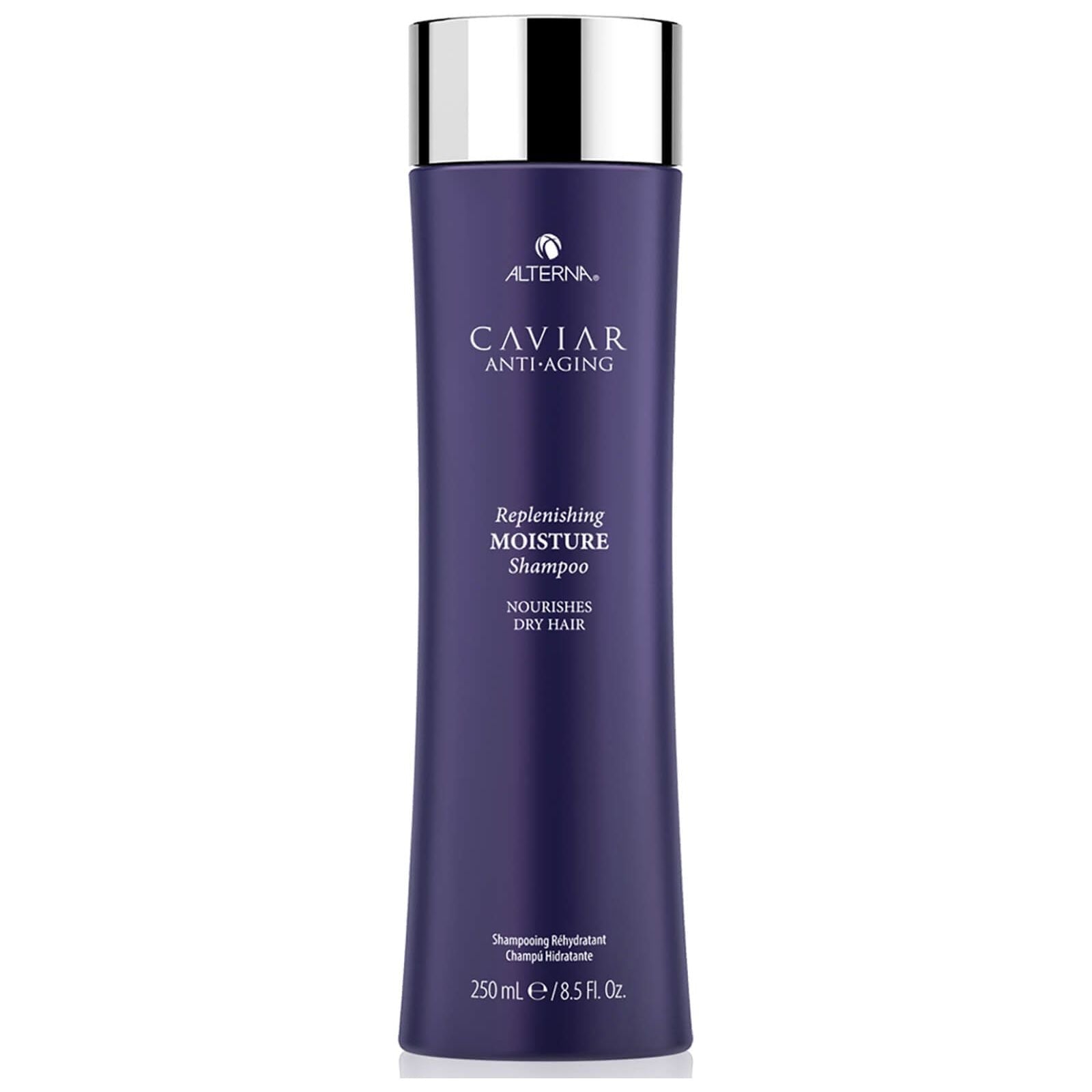 Alterna Caviar Anti - Aging Replenishing Moisture Shampoo 8.5oz - Pileggi on the Square Salon Powered by Gatto Salon Group