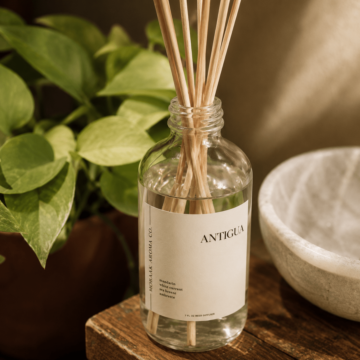 Antigua Reed Diffuser - Pileggi on the Square Salon Powered by Gatto Salon Group