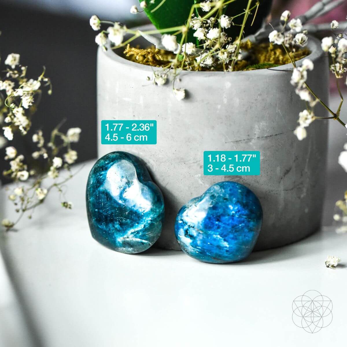 Apatite Heart of Positivity - Pileggi on the Square Salon Powered by Gatto Salon Group