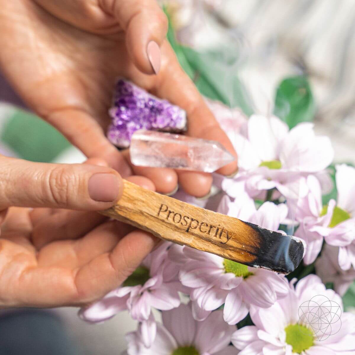 Attract Abundance - Premium Manifestation Smudge Kit (8 Pieces) - Pileggi on the Square Salon Powered by Gatto Salon Group