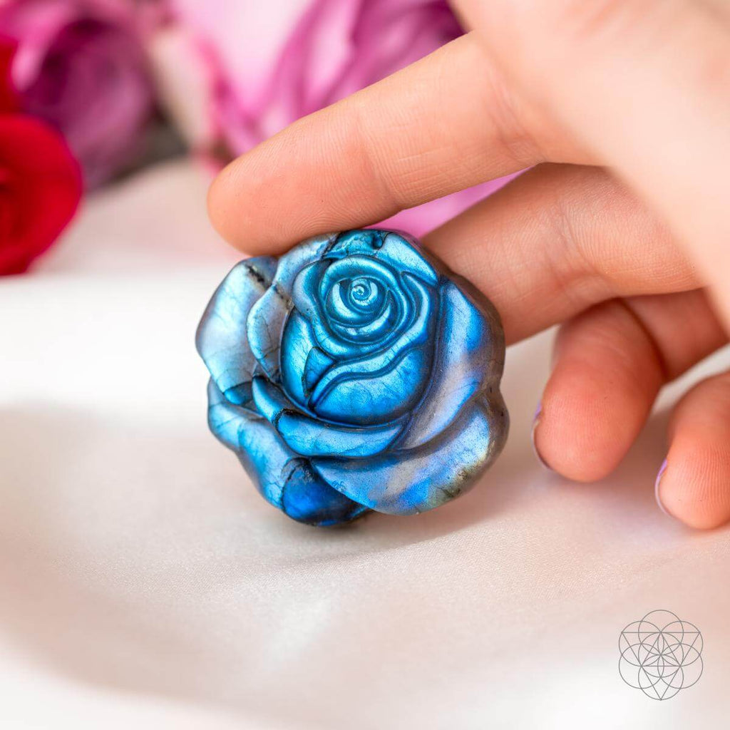 Beautifully Unique - Blossoming Rose of Singularity - Pileggi on the Square Salon Powered by Gatto Salon Group