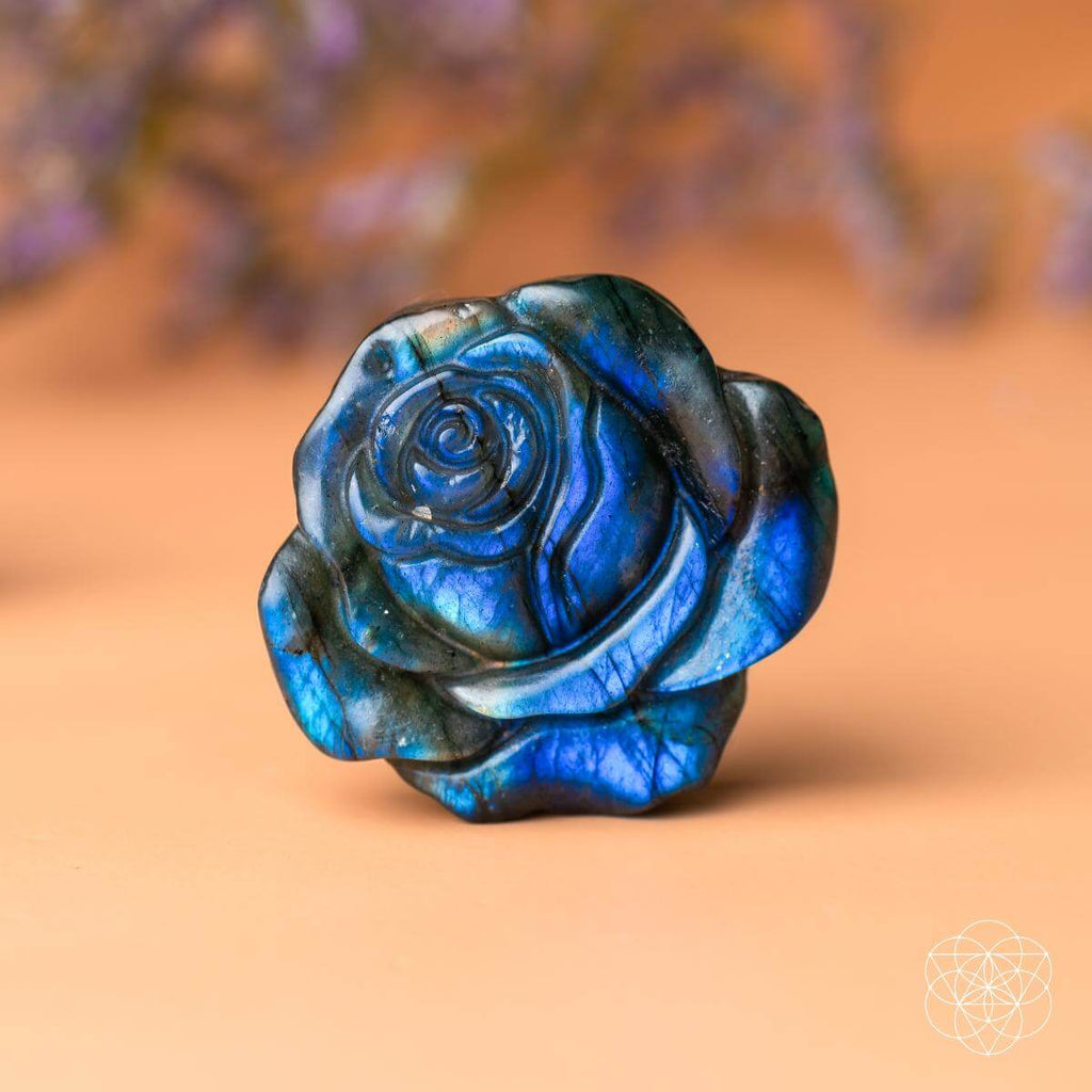Beautifully Unique - Blossoming Rose of Singularity - Pileggi on the Square Salon Powered by Gatto Salon Group
