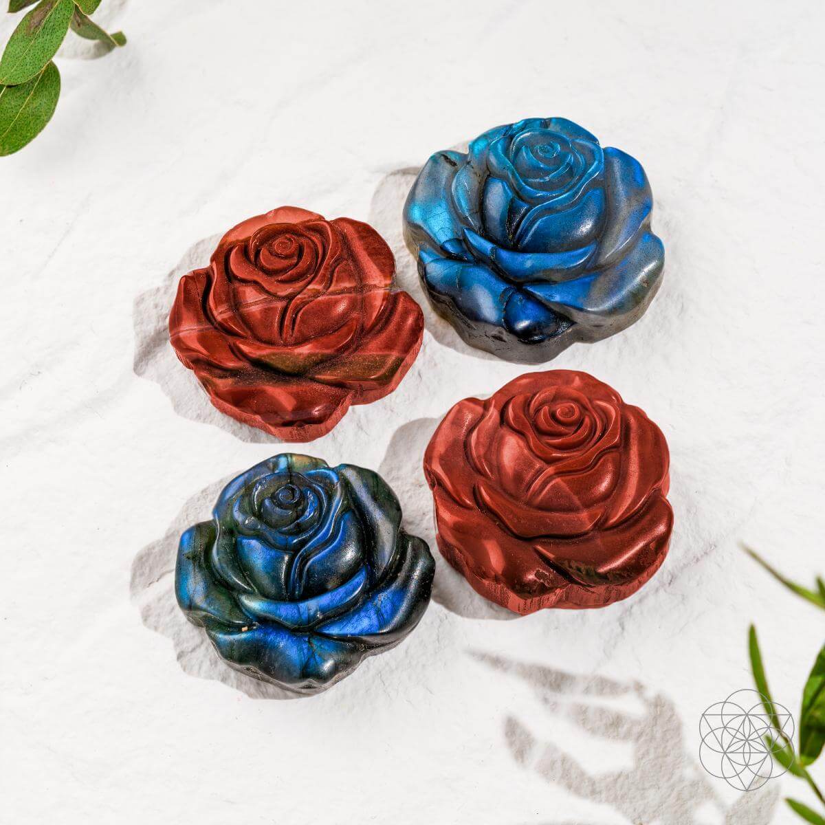 Beautifully Unique - Blossoming Rose of Singularity - Pileggi on the Square Salon Powered by Gatto Salon Group