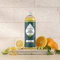 Carpet & Upholstery Shampoo - Pileggi on the Square Salon Powered by Gatto Salon Group