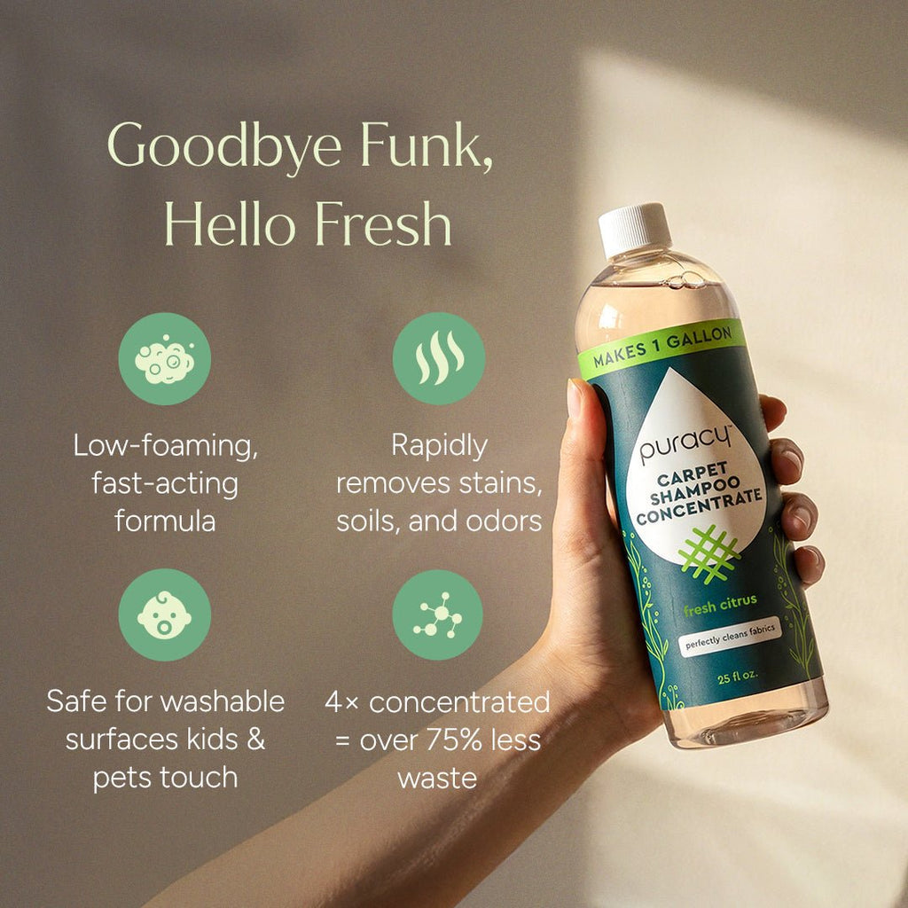 Carpet & Upholstery Shampoo - Pileggi on the Square Salon Powered by Gatto Salon Group