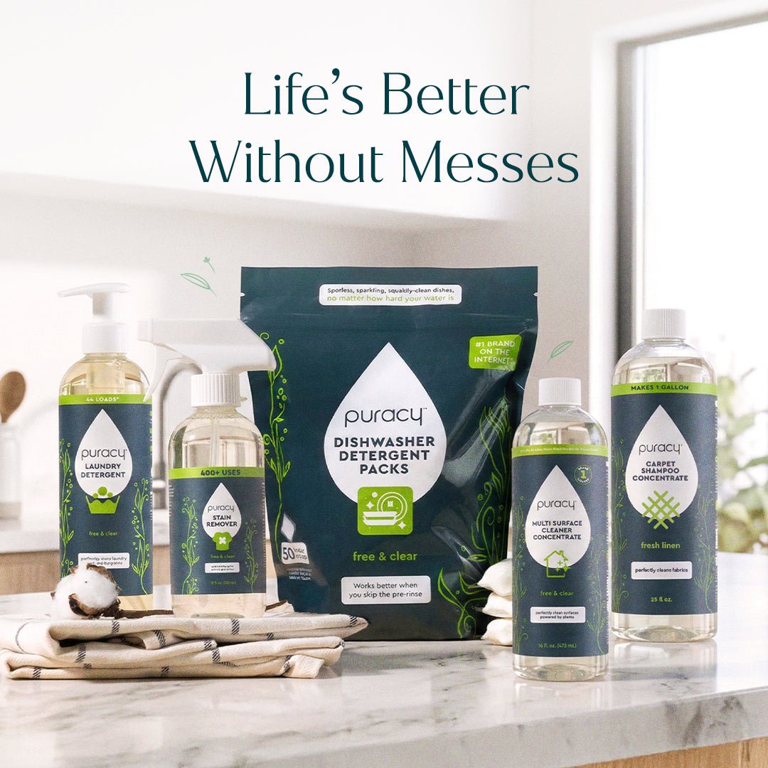 Carpet & Upholstery Shampoo - Pileggi on the Square Salon Powered by Gatto Salon Group