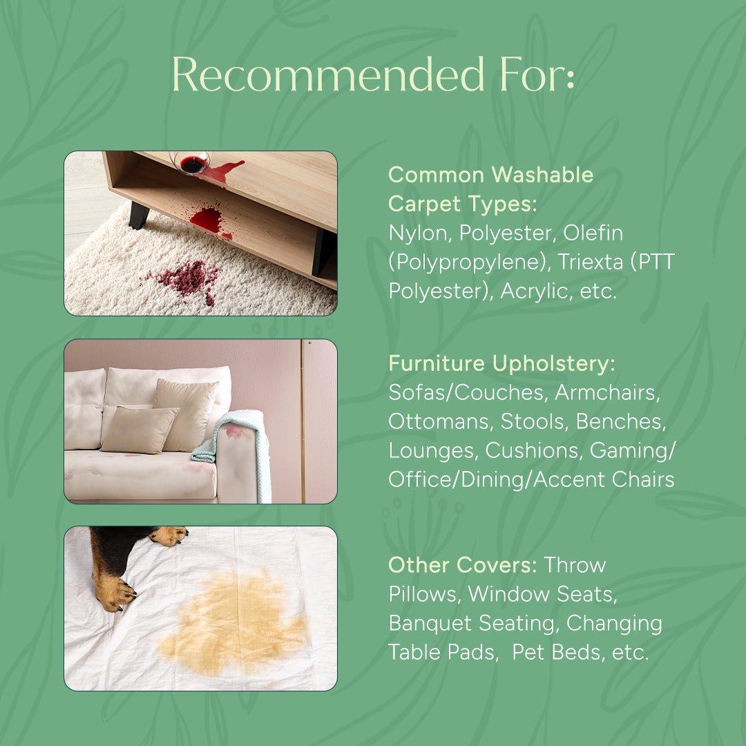 Carpet & Upholstery Shampoo - Pileggi on the Square Salon Powered by Gatto Salon Group