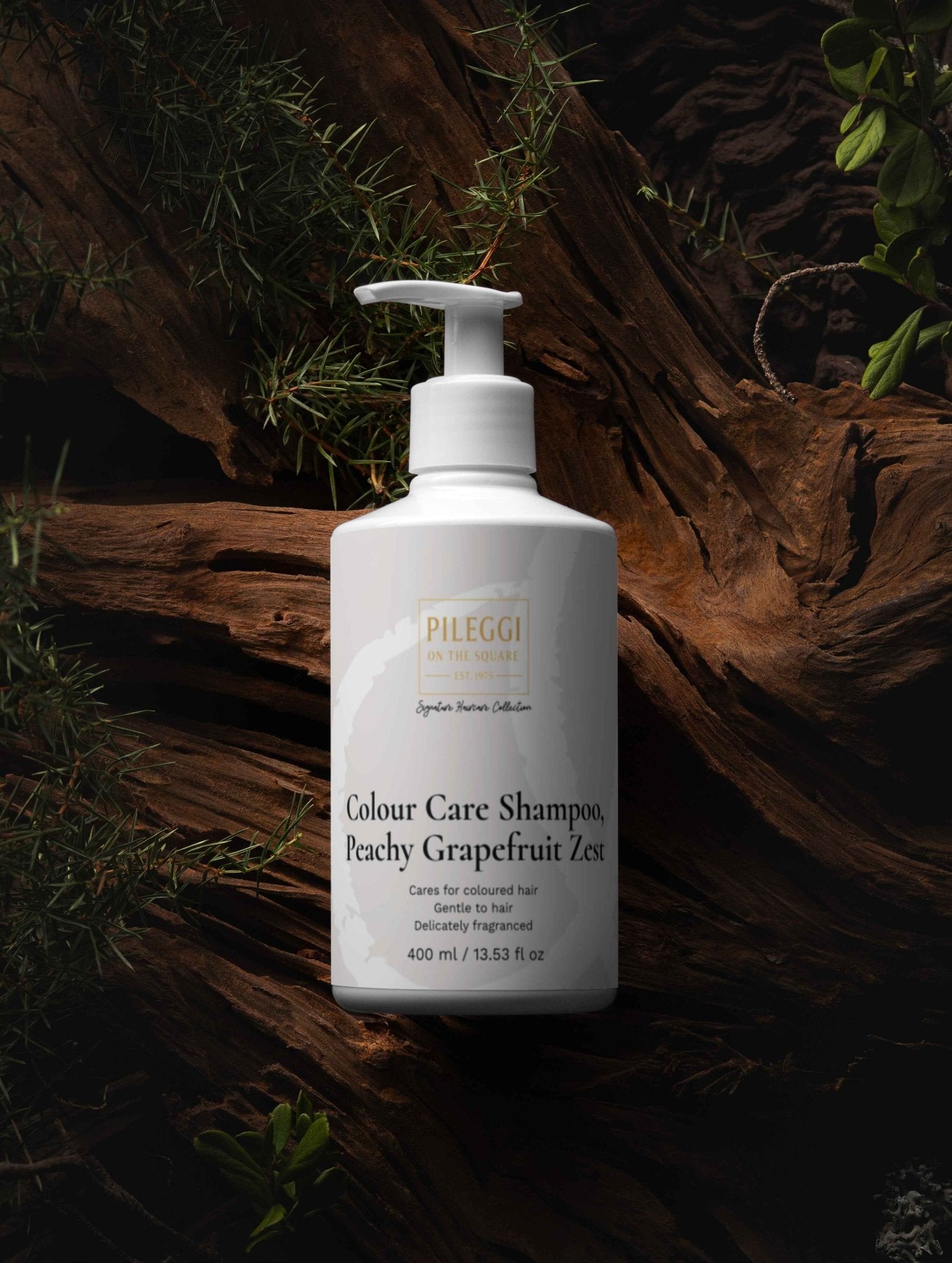 Colour Care Shampoo, Peachy Grapefruit Zest - Pileggi on the Square Salon Powered by Gatto Salon Group