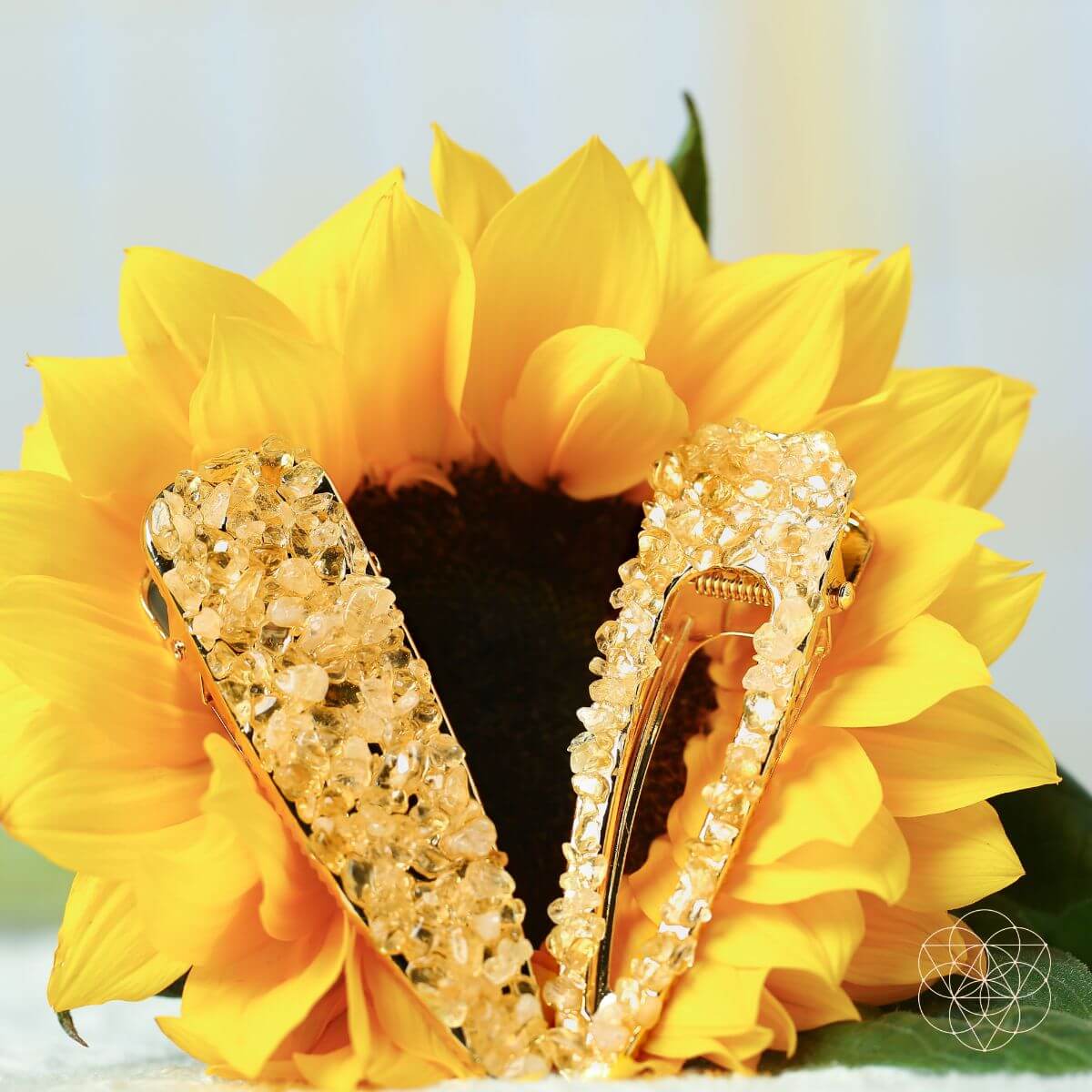 Crown of Prosperity - Citrine Hair Clips (2 pieces) - Pileggi on the Square Salon Powered by Gatto Salon Group