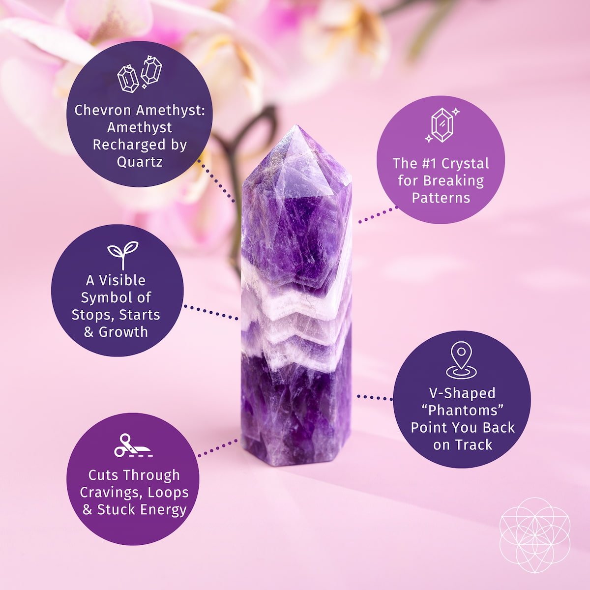 Cycle Breaker - Chevron Amethyst Point of Transformation - Pileggi on the Square Salon Powered by Gatto Salon Group