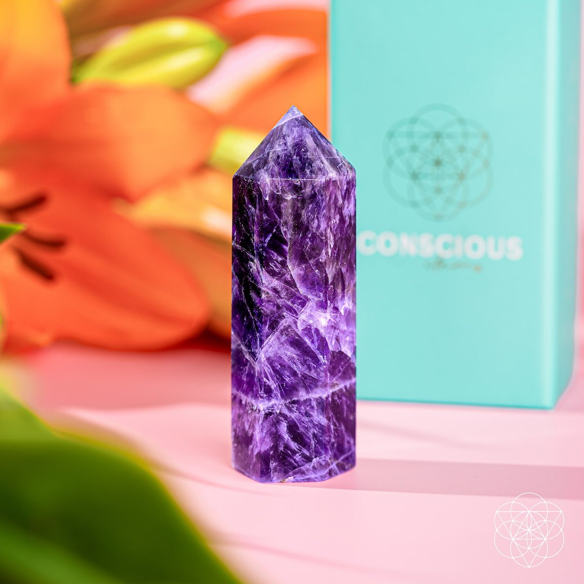 Cycle Breaker - Chevron Amethyst Point of Transformation - Pileggi on the Square Salon Powered by Gatto Salon Group