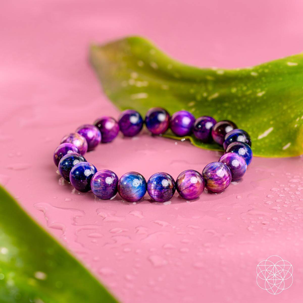Destiny Activator - All - Galaxy Tiger’s Eye Bracelet - Pileggi on the Square Salon Powered by Gatto Salon Group
