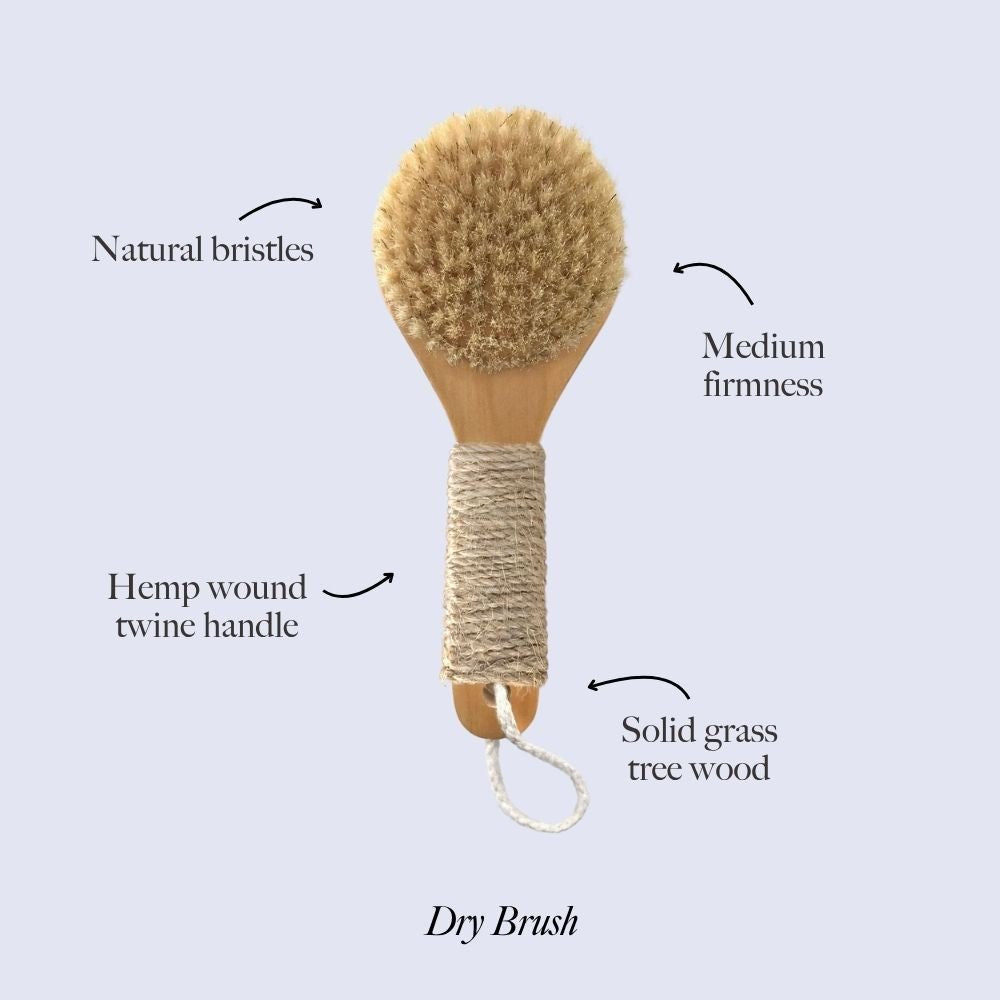 Dry Brush - Pileggi on the Square Salon Powered by Gatto Salon Group
