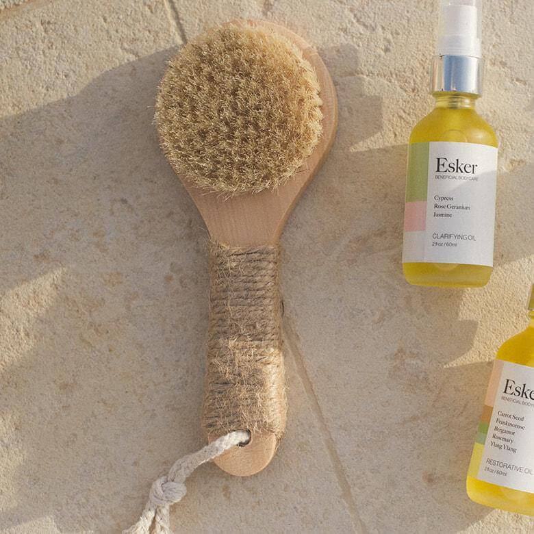 Natural Bristle Dry Brush