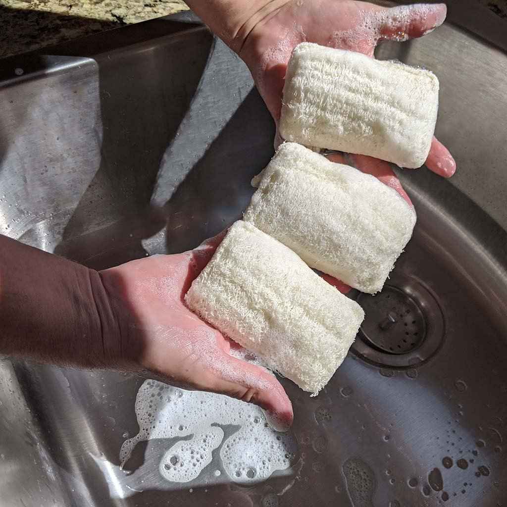 Eco Dish Washing Scrubbers 3 Pack - Loofah - Pileggi on the Square Salon Powered by Gatto Salon Group