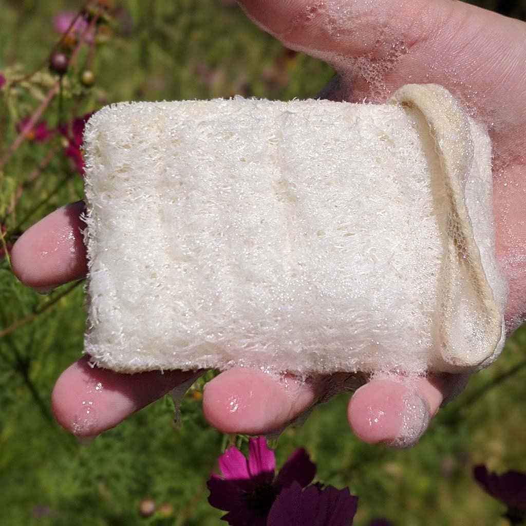 Eco Dish Washing Scrubbers 3 Pack - Loofah - Pileggi on the Square Salon Powered by Gatto Salon Group