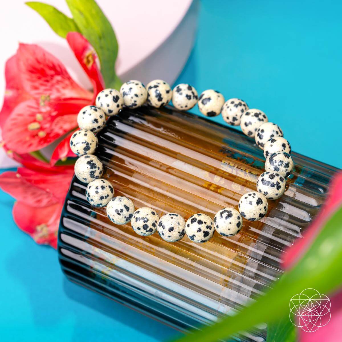 Emotional Detox - Dalmatian Jasper Bracelet - Pileggi on the Square Salon Powered by Gatto Salon Group