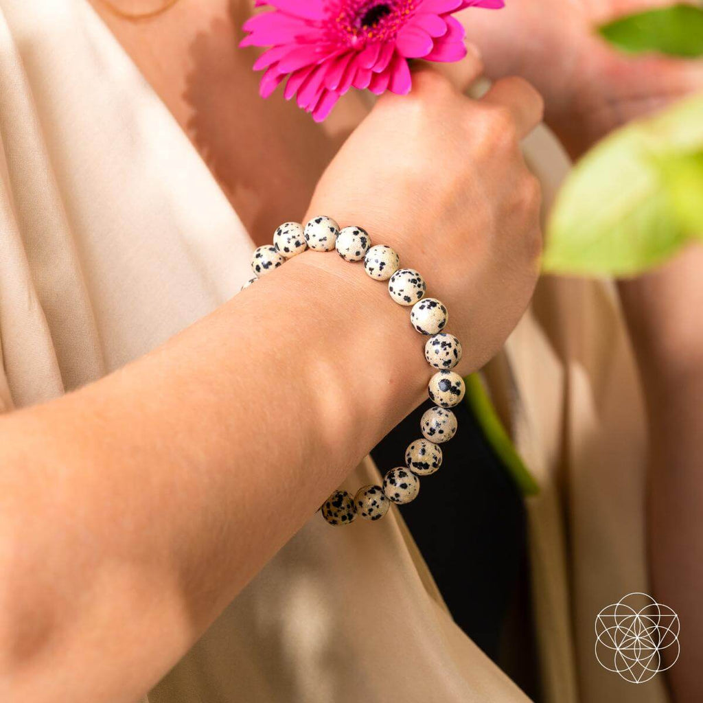 Emotional Detox - Dalmatian Jasper Bracelet - Pileggi on the Square Salon Powered by Gatto Salon Group