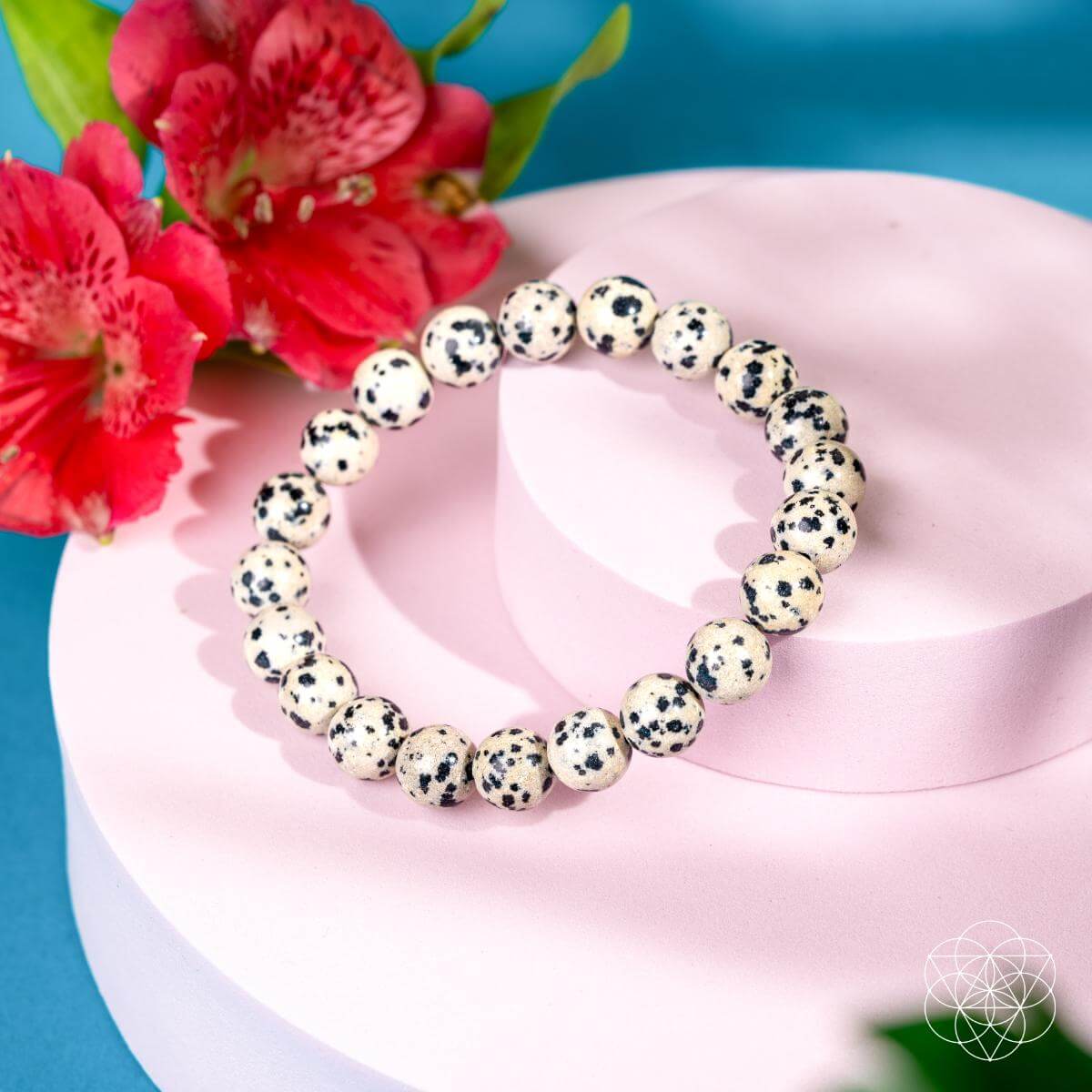 Emotional Detox - Dalmatian Jasper Bracelet - Pileggi on the Square Salon Powered by Gatto Salon Group