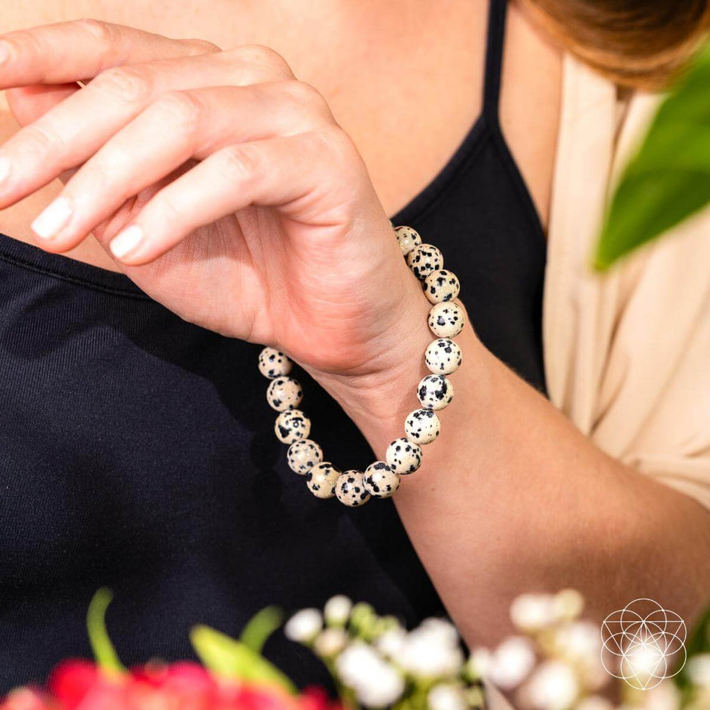Emotional Detox - Dalmatian Jasper Bracelet - Pileggi on the Square Salon Powered by Gatto Salon Group