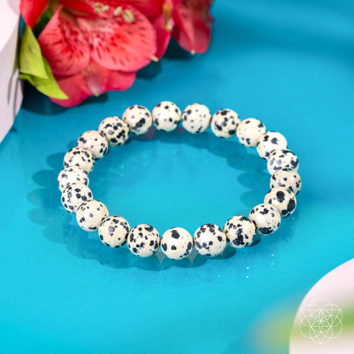Emotional Detox - Dalmatian Jasper Bracelet - Pileggi on the Square Salon Powered by Gatto Salon Group