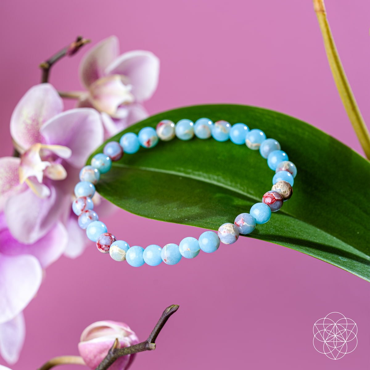 Empath’s Shield – Aqua Terra Jasper Bracelet | 6mm - Pileggi on the Square Salon Powered by Gatto Salon Group
