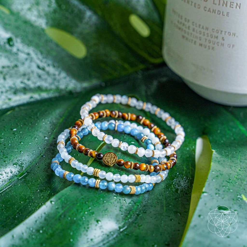 Endless Abundance Bracelet Pack of 4 - Pileggi on the Square Salon Powered by Gatto Salon Group