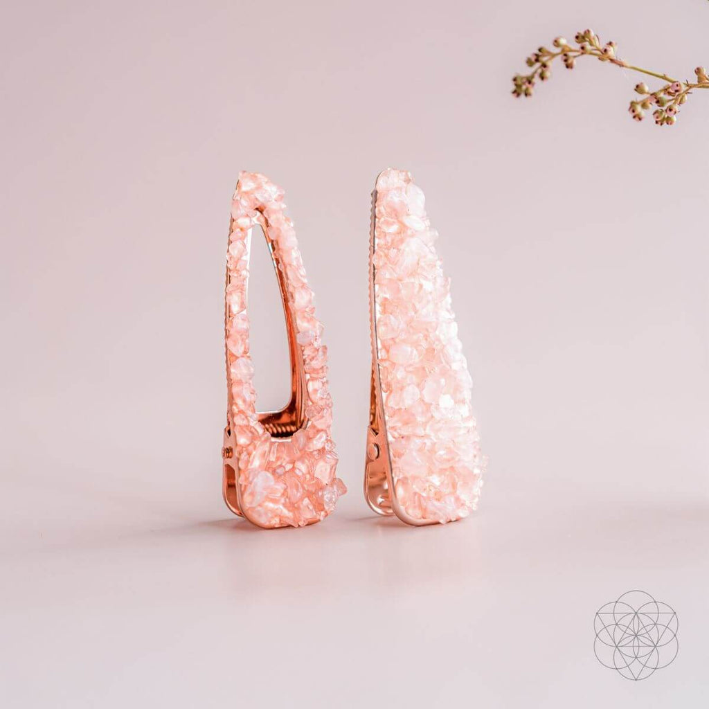 Eternal Empowerment 2 - Piece Hair Clips Set - Pileggi on the Square Salon Powered by Gatto Salon Group