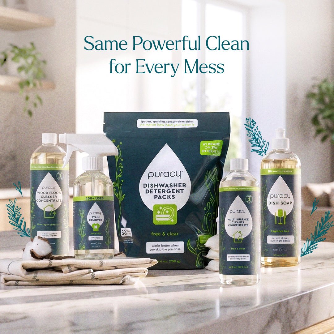 Everyday Multi - Surface Cleaner - Pileggi on the Square Salon Powered by Gatto Salon Group