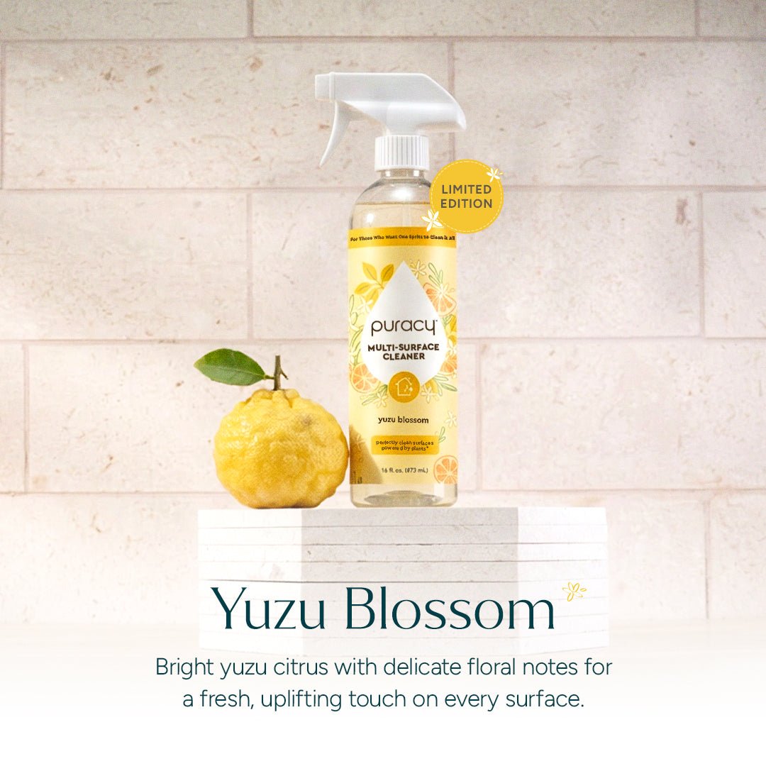Everyday Multi - Surface Cleaner - Pileggi on the Square Salon Powered by Gatto Salon Group