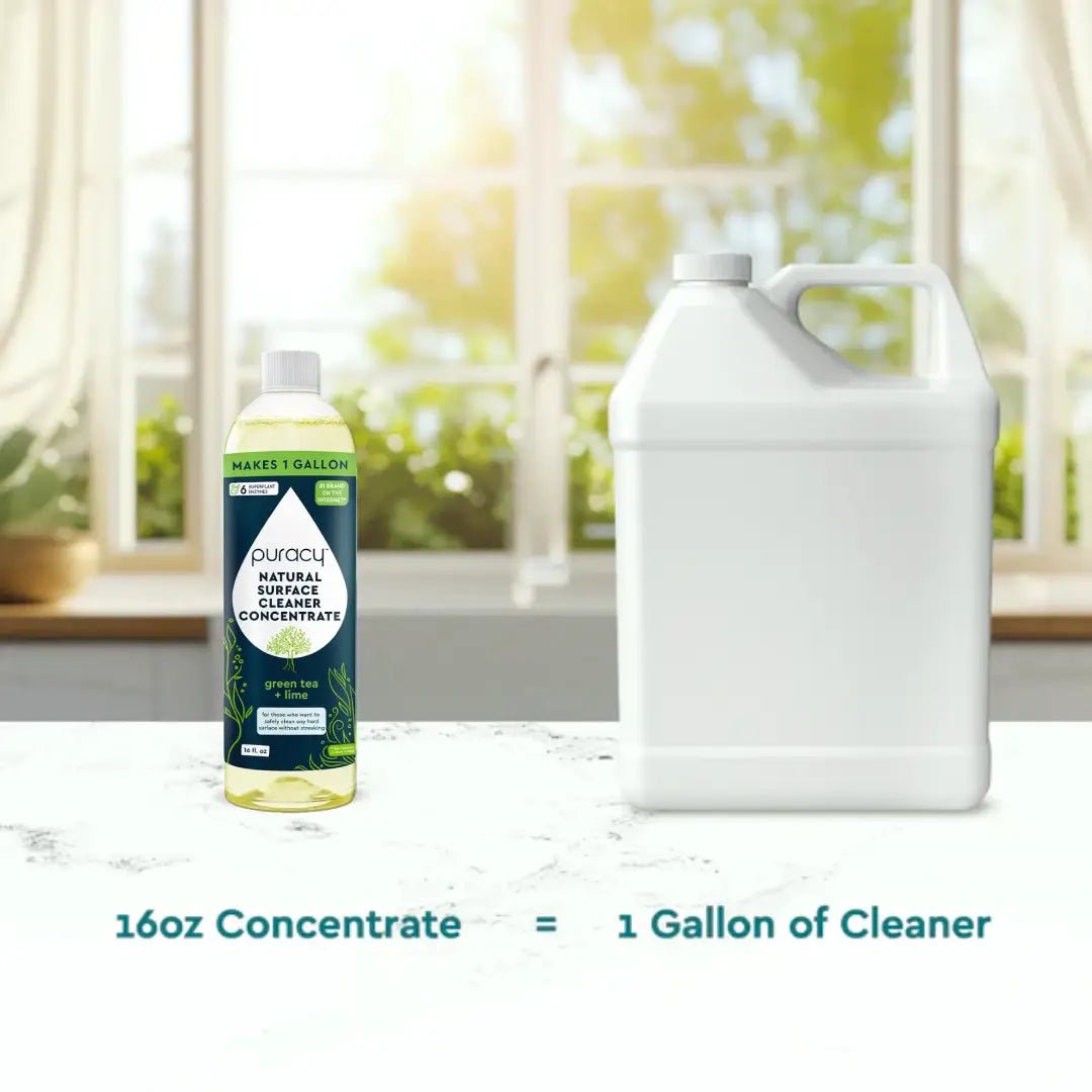 Everyday Multi - Surface Cleaner - Pileggi on the Square Salon Powered by Gatto Salon Group