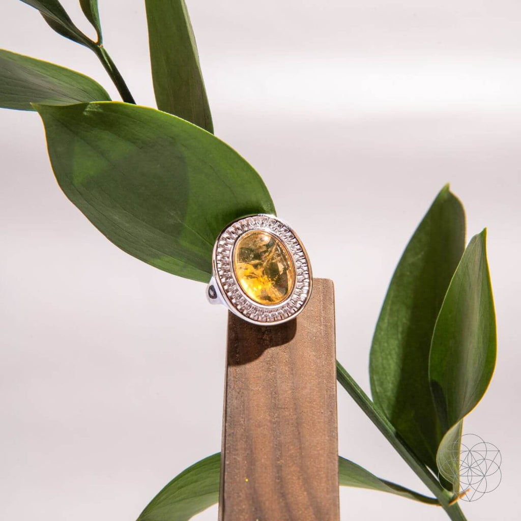 Eye of The Sun - Silver Aura Ring of Attraction - Pileggi on the Square Salon Powered by Gatto Salon Group