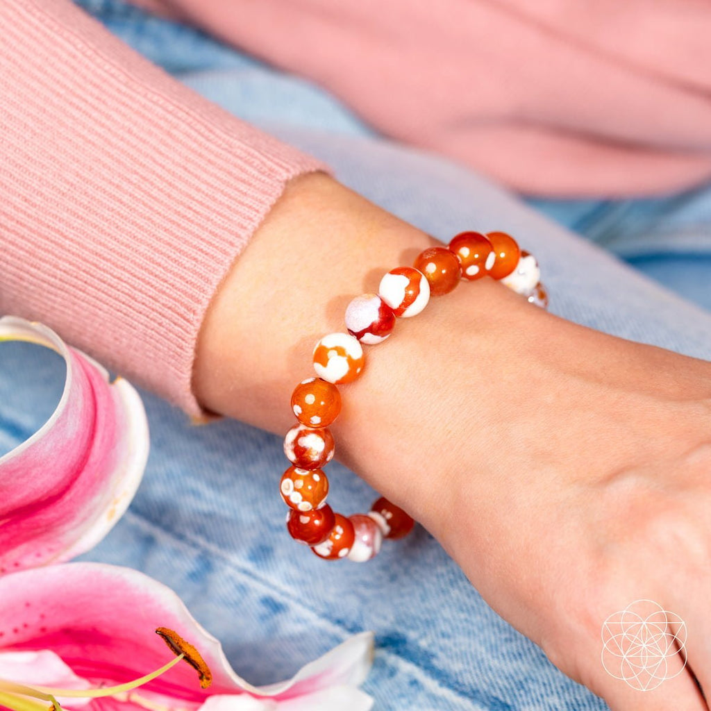 Feminine Force – Carnelian Orca Agate Bracelet - Pileggi on the Square Salon Powered by Gatto Salon Group
