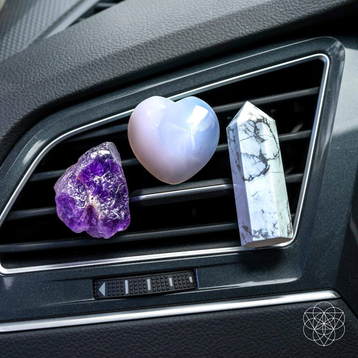 Focused Driver - Crystal Car Kit of Protection - Pileggi on the Square Salon Powered by Gatto Salon Group