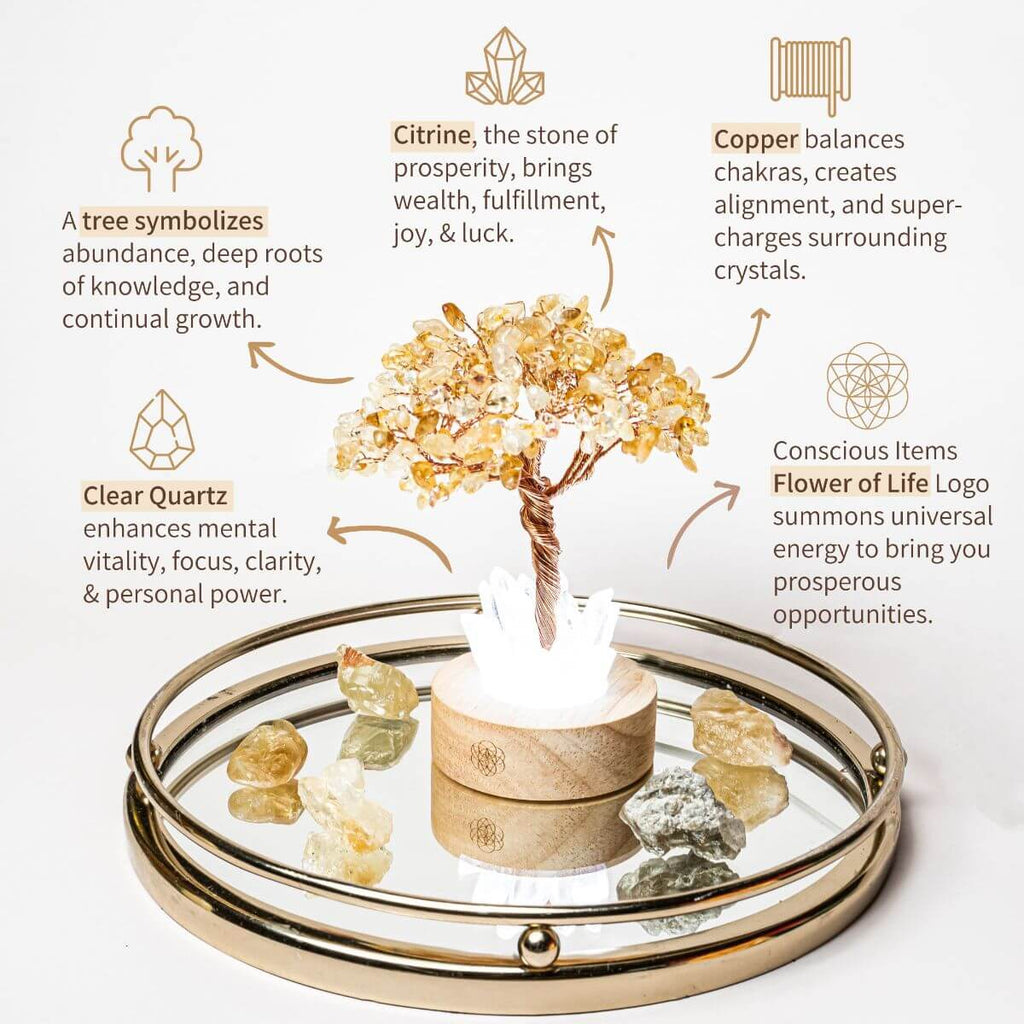 Golden Lamp of Wealth - Citrine Tree - Pileggi on the Square Salon Powered by Gatto Salon Group