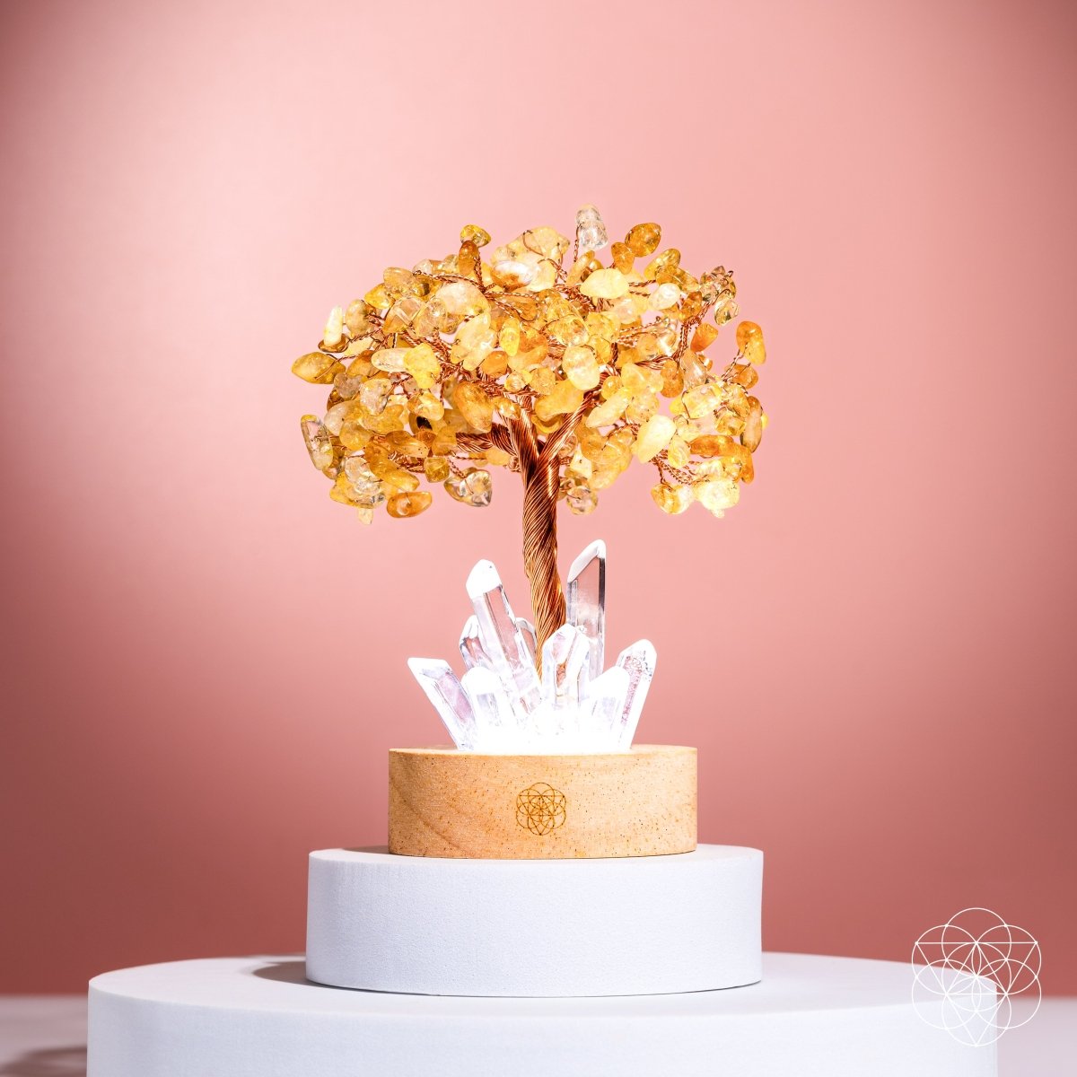 Golden Lamp of Wealth - Citrine Tree - Pileggi on the Square Salon Powered by Gatto Salon Group