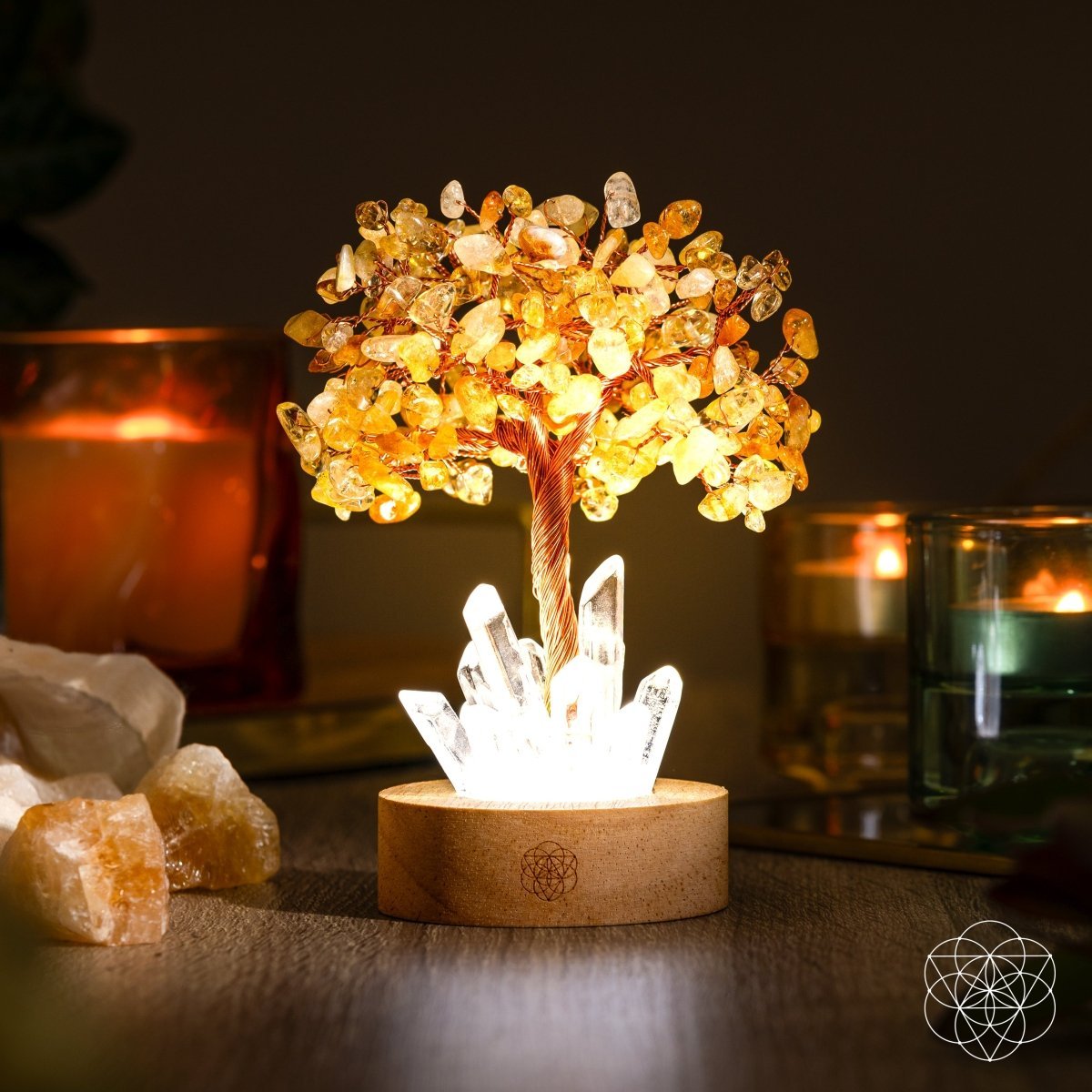 Golden Lamp of Wealth - Citrine Tree - Pileggi on the Square Salon Powered by Gatto Salon Group