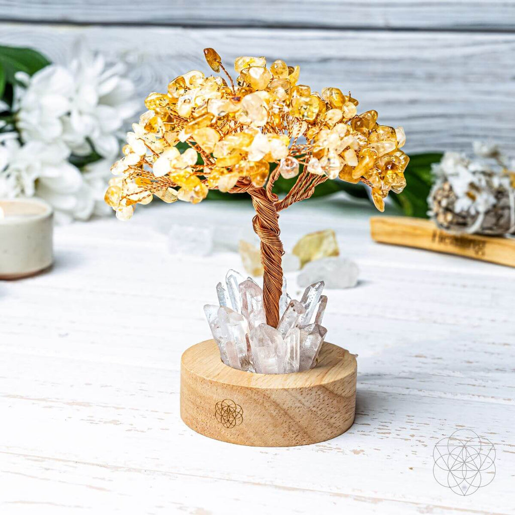 Golden Lamp of Wealth - Citrine Tree - Pileggi on the Square Salon Powered by Gatto Salon Group