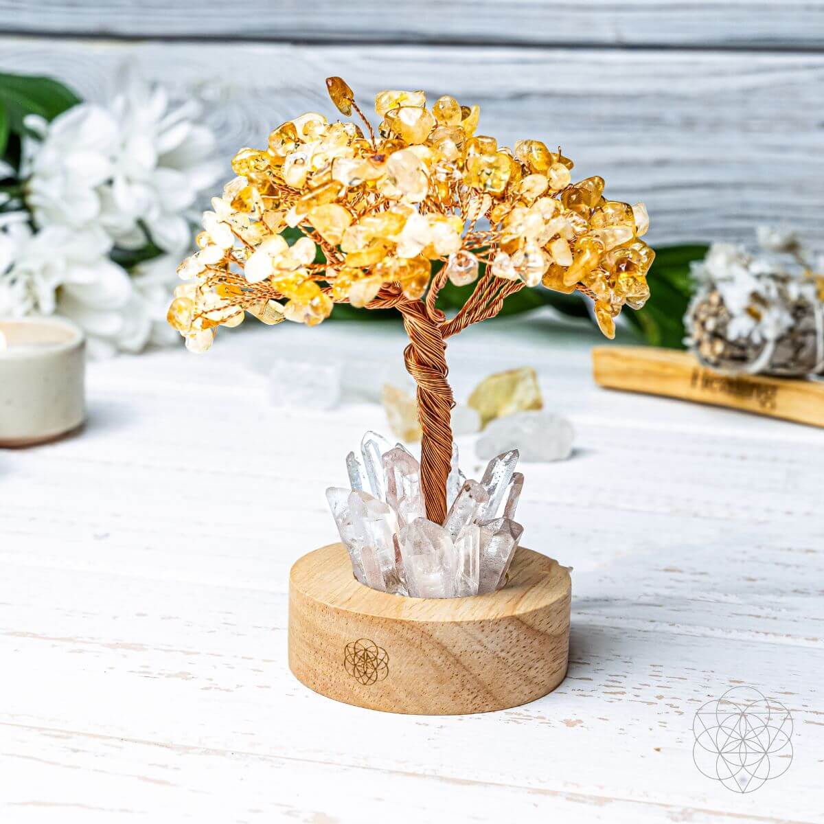 Golden Lamp of Wealth - Citrine Tree - Pileggi on the Square Salon Powered by Gatto Salon Group