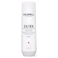 Goldwell DualSenses Silver Shampoo 10.1oz - Pileggi on the Square Salon Powered by Gatto Salon Group
