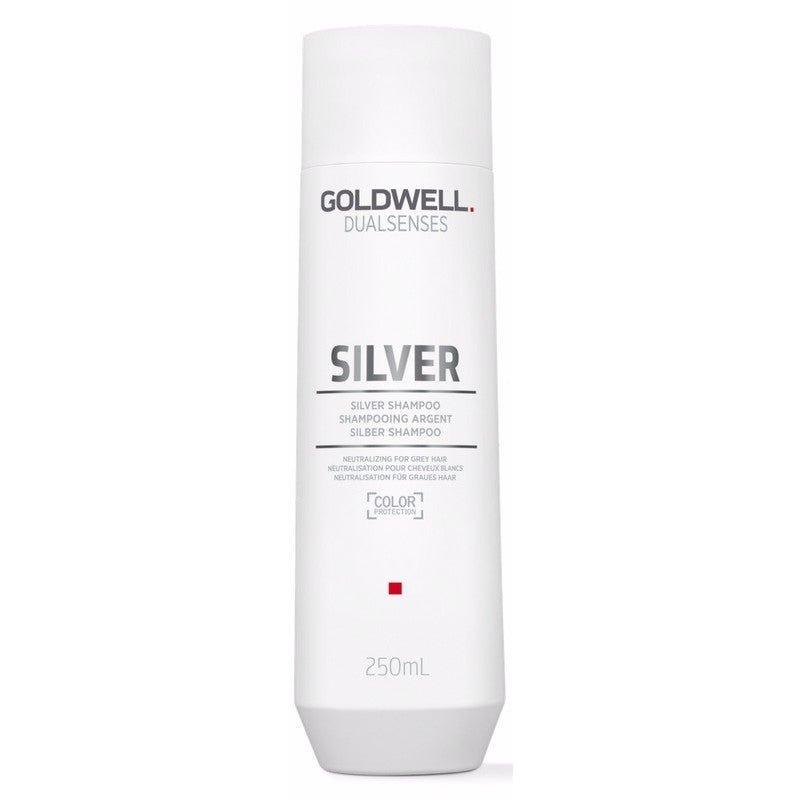 Goldwell DualSenses Silver Shampoo 10.1oz - Pileggi on the Square Salon Powered by Gatto Salon Group