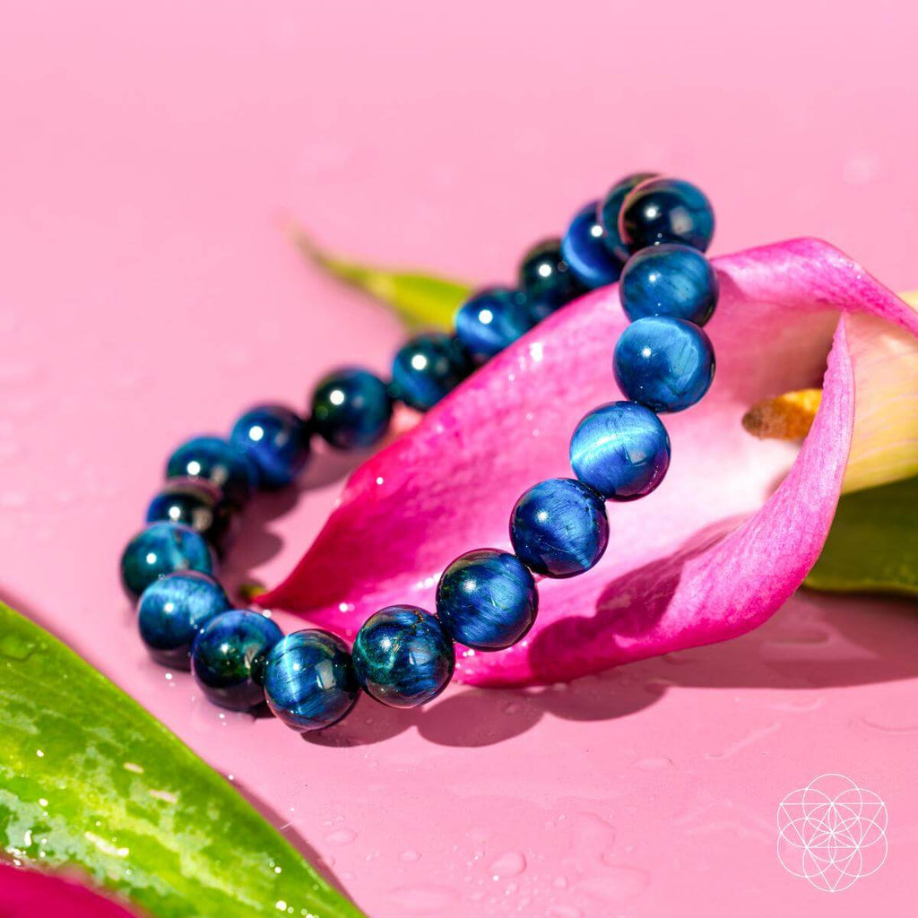 Hawk’s Focus – Royal Blue Tiger’s Eye Bracelet - Pileggi on the Square Salon Powered by Gatto Salon Group