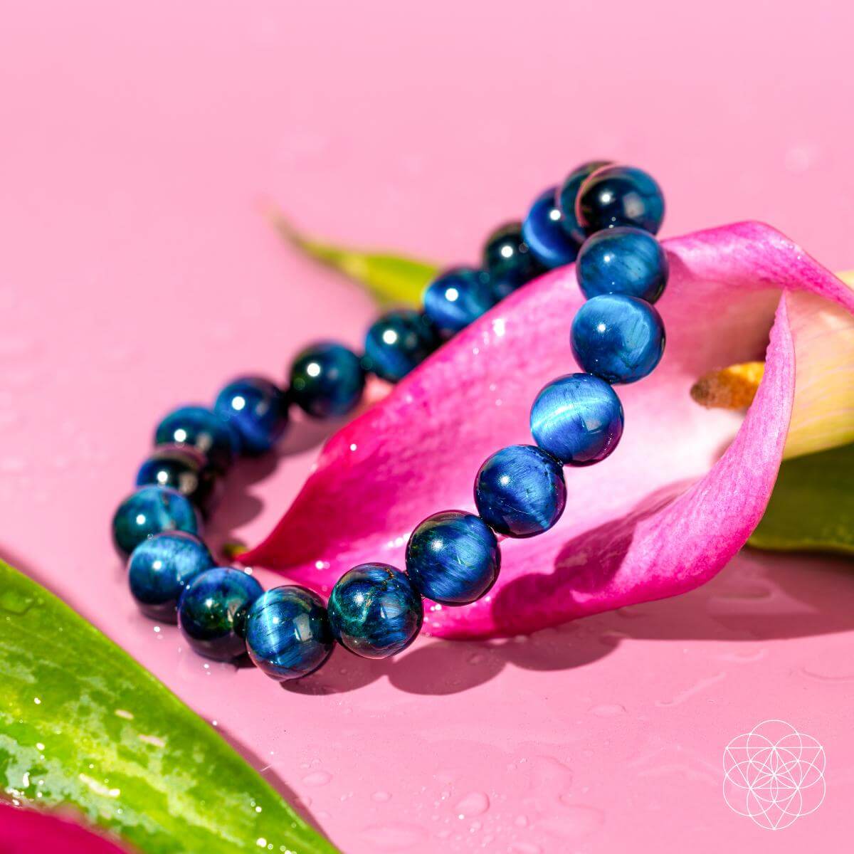 Hawk’s Focus – Royal Blue Tiger’s Eye Bracelet - Pileggi on the Square Salon Powered by Gatto Salon Group