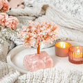 Home Sweet Home - Feng Shui Rose Quartz Tree - Pileggi on the Square Salon Powered by Gatto Salon Group