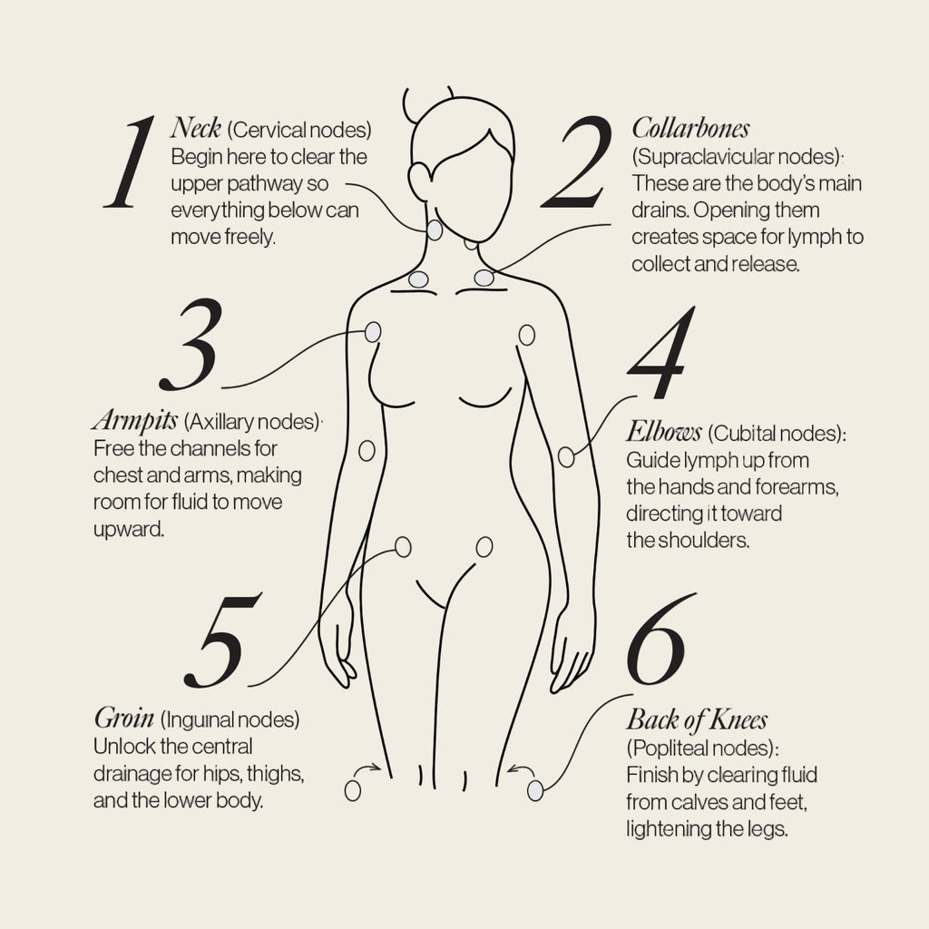 Lymphatic Drainage Dots - Pileggi on the Square Salon Powered by Gatto Salon Group