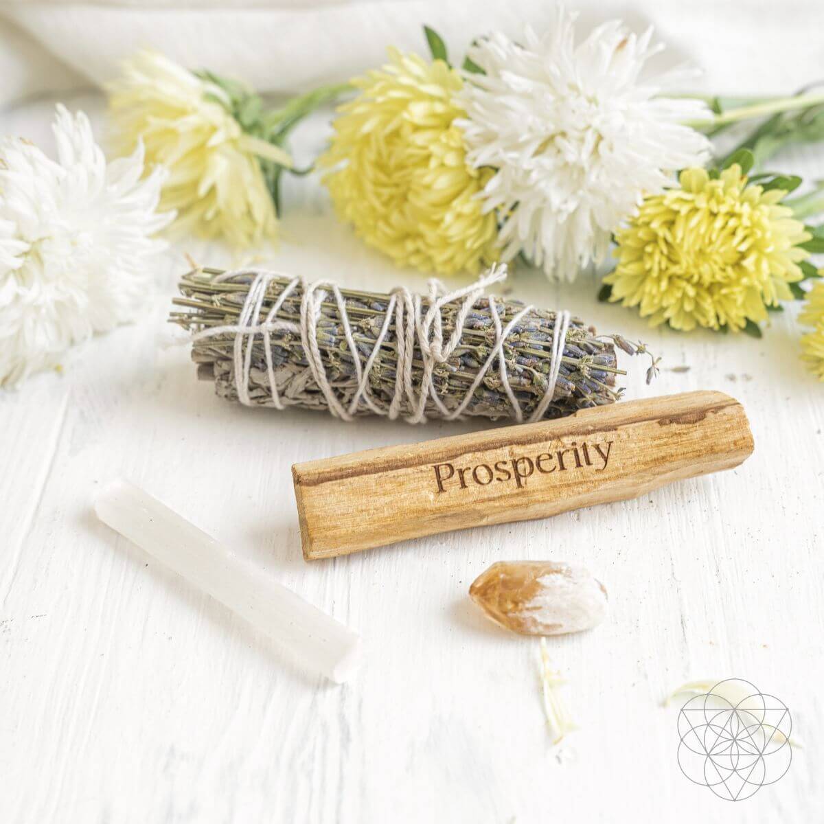 Manifest Miracles - Prosperity Smudging Kit (5 Pieces) - Pileggi on the Square Salon Powered by Gatto Salon Group