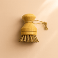 Modular Palm Pot Scrub Brush - Pileggi on the Square Salon Powered by Gatto Salon Group
