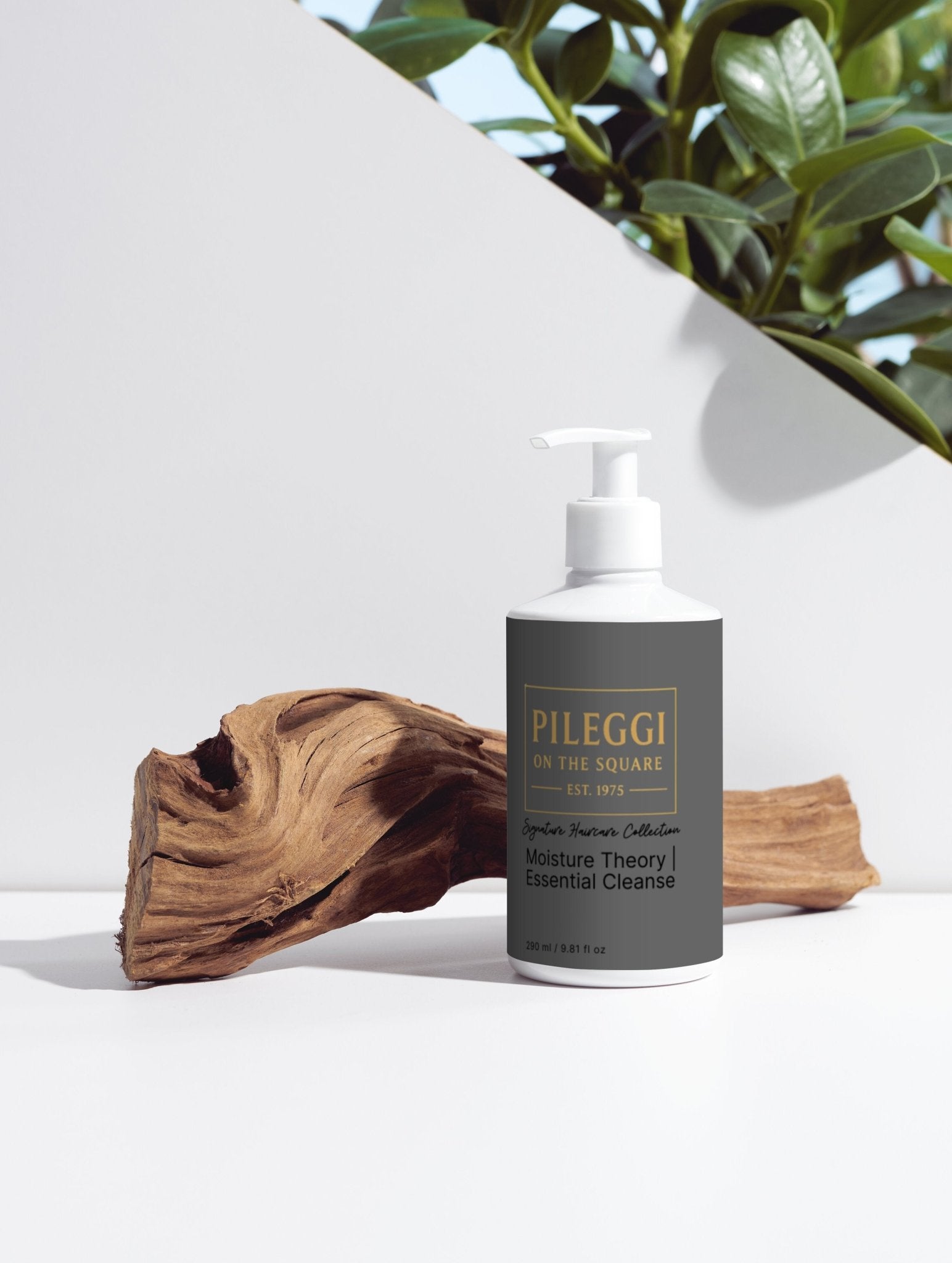Moisture Theory Shampoo - Essential Cleanse for Hydrated Hair - Pileggi on the Square Salon Powered by Gatto Salon Group