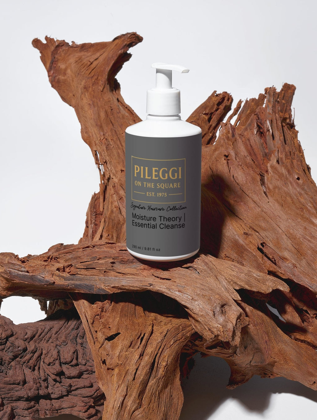 Moisture Theory Shampoo - Essential Cleanse for Hydrated Hair - Pileggi on the Square Salon Powered by Gatto Salon Group