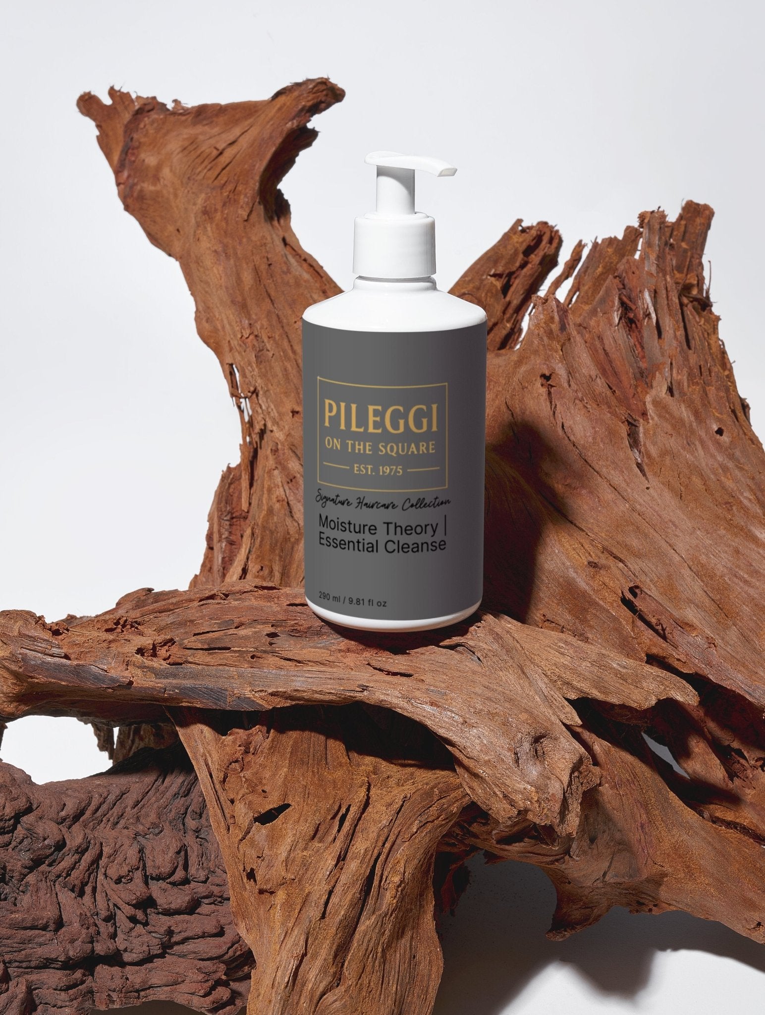 Moisture Theory Shampoo - Essential Cleanse for Hydrated Hair - Pileggi on the Square Salon Powered by Gatto Salon Group